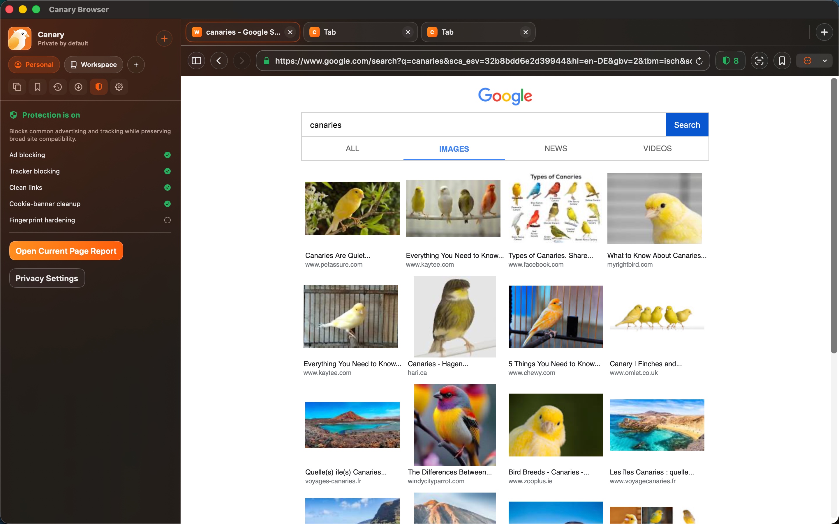 Canary Browser — Canary browser overview