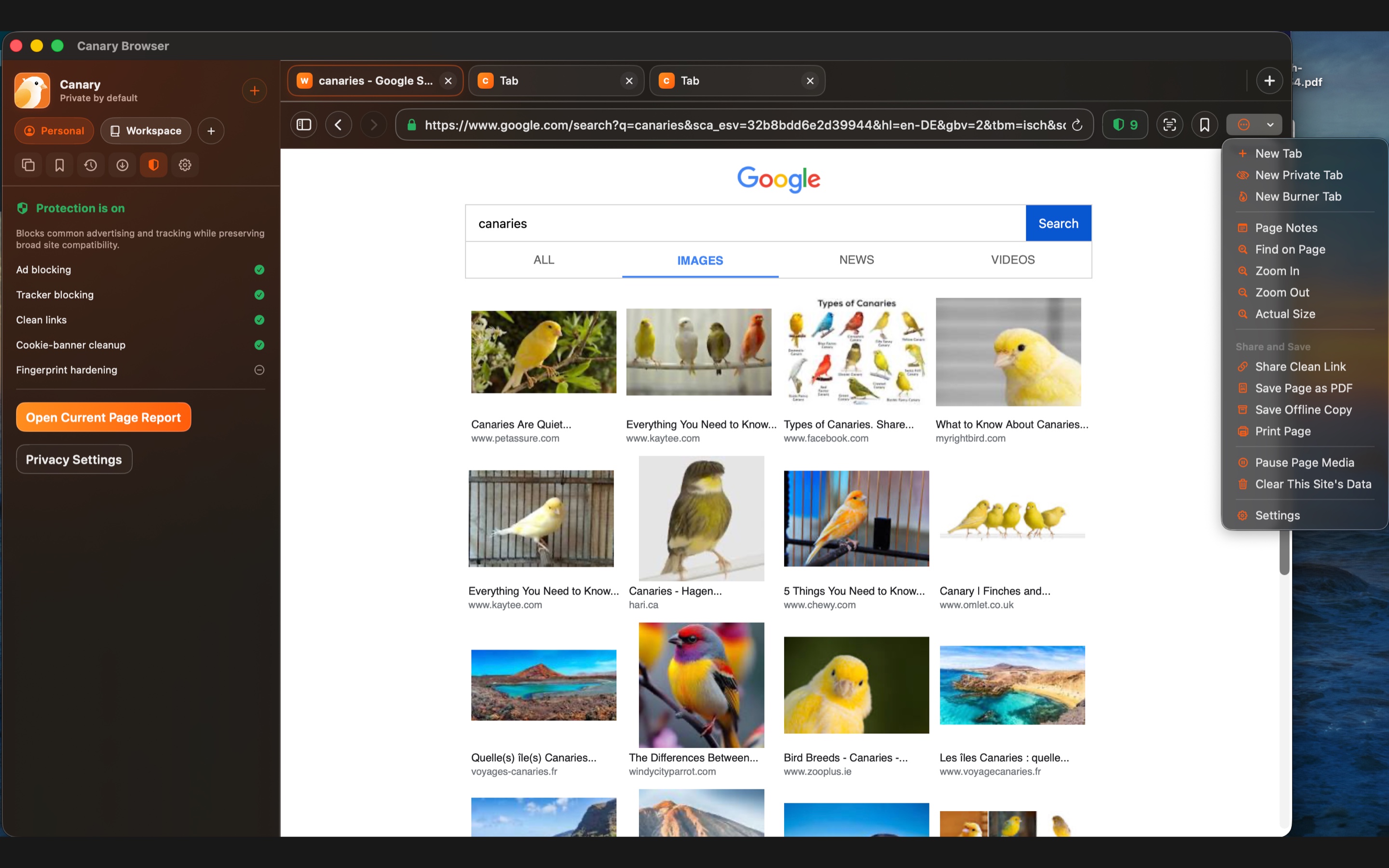 Canary Browser — Canary browser tools menu