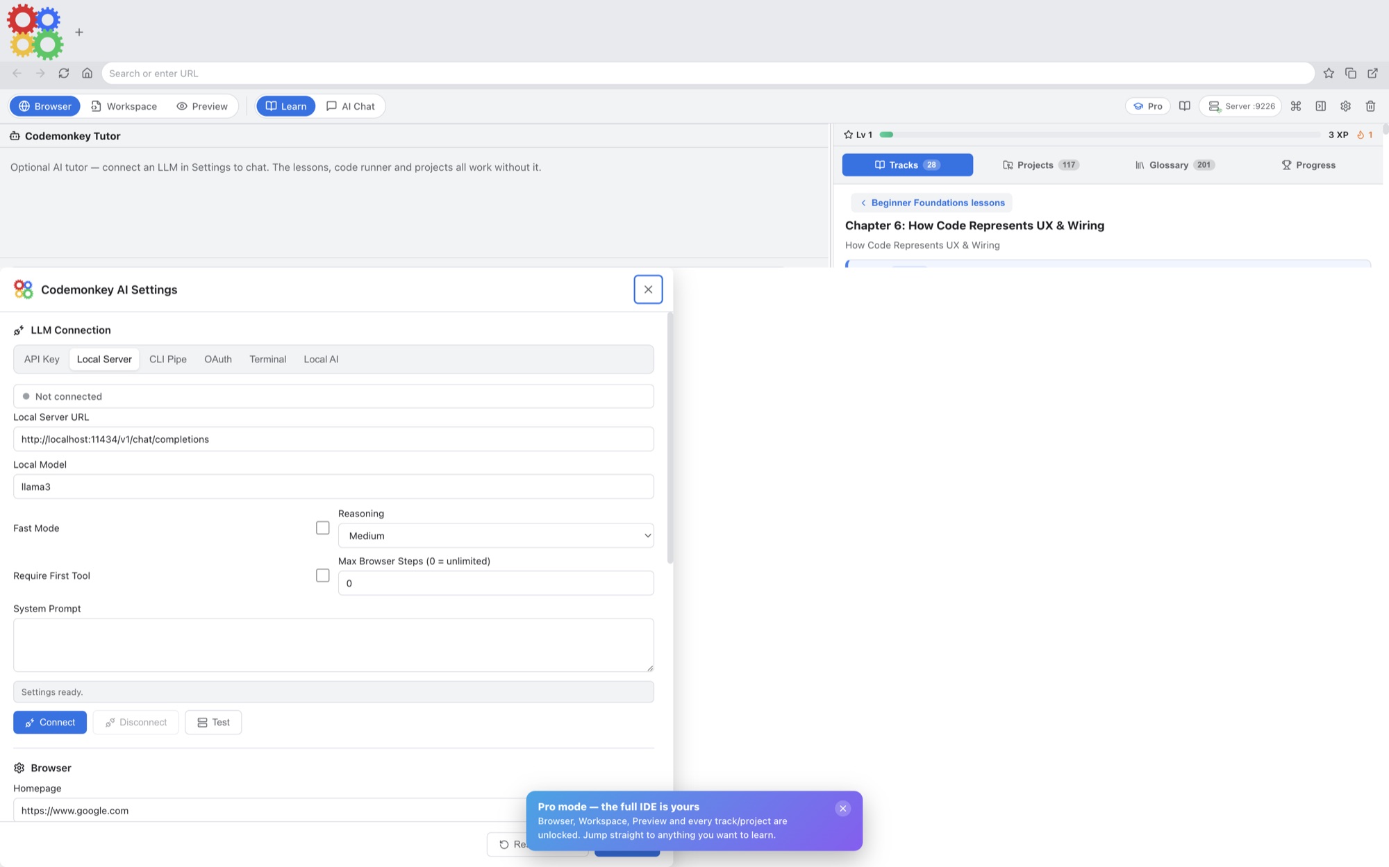 Codemonkey AI settings showing API key connection, provider selection, model field, reasoning, browser steps, and system prompt controls.