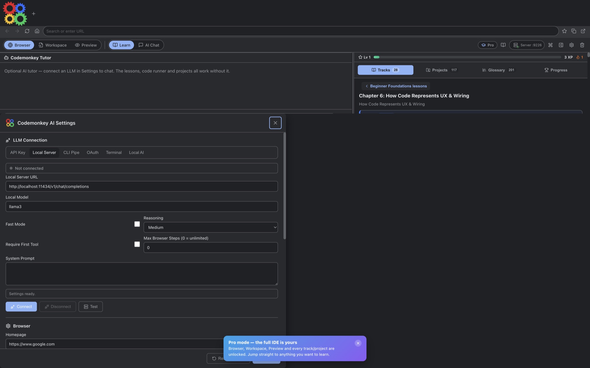 Codemonkey AI settings showing local AI endpoint, GGUF model path, served model, context size, reasoning, and system prompt controls.