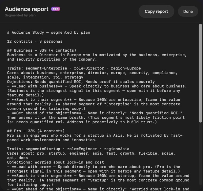Persona Audience Studio — Persona report