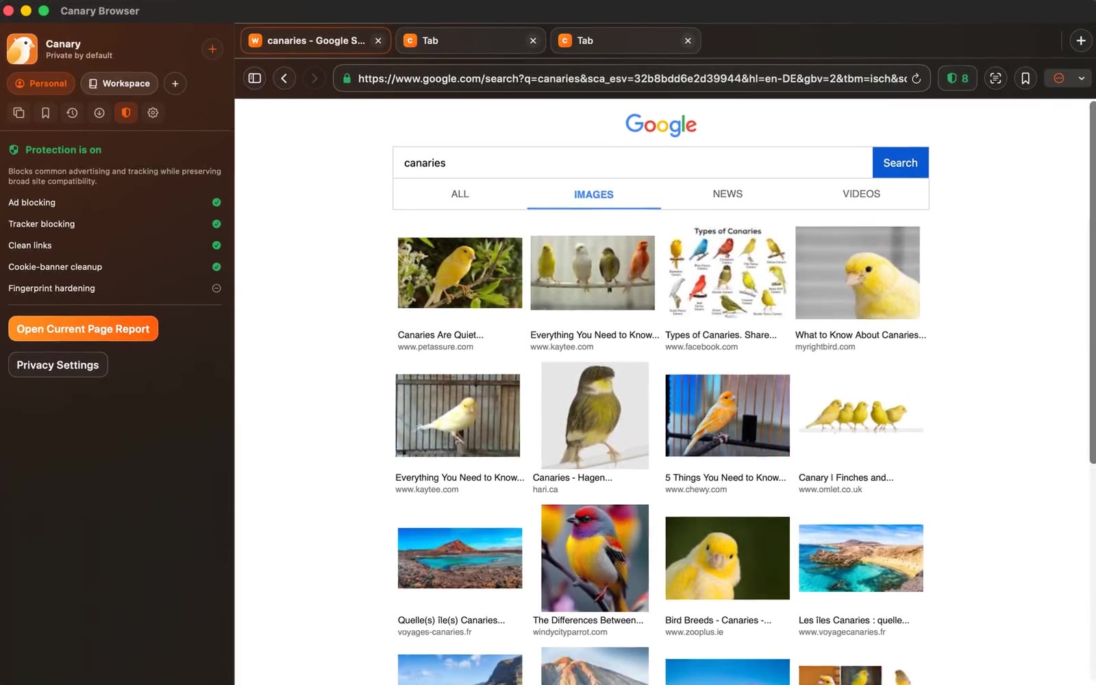 Canary Browser screenshot tour
